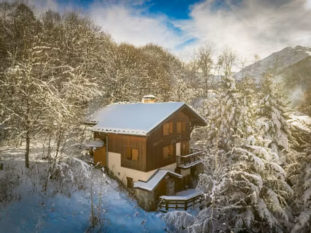 chalet à vendre à saint-martin-de-belleville (73440) - savoie