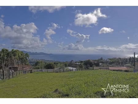 vente terrain 1556 m² à schoelcher (97233)  349 000 €