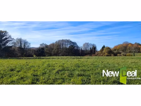 vente terrain 18000 m² à sadroc (19270)  70 000 €