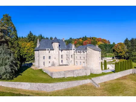 vente château 20 pièces 1500 m² à ussel (19200)  1 495 000 €