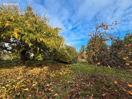 terrain 3500 m² bessieres