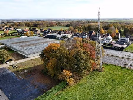 terrain à vendre à gellik € 10.000 (lhl73) - immo top invest | zimmo