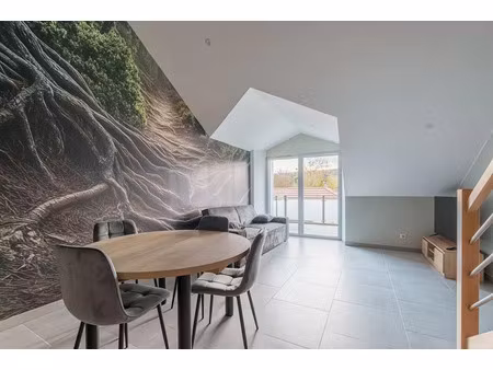 location meublée appartement 3 pièces 116.04 m² à val-de-meuse (52140)  880 €