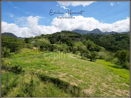 a vendre – terrain constructible de 1919m² – le carbet - quartier bel-event