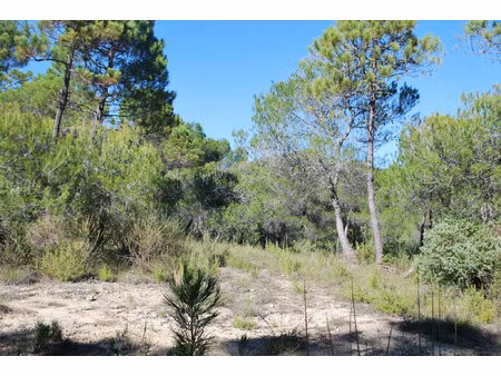 terrain viabilise salernes