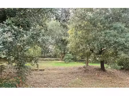 terrain biot m² t- à vendre  1 290 000 €