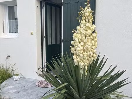 maison a vendre 4 pieces / 87 m² rivedoux-plage