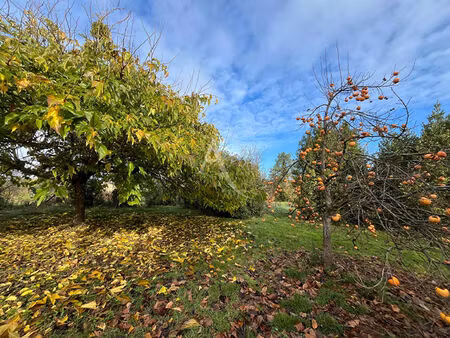 terrain à grazac de 3500 m²
