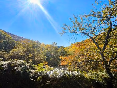 terrain a batir ? castans