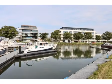 appartement te huur in schoten met 3 slaapkamers