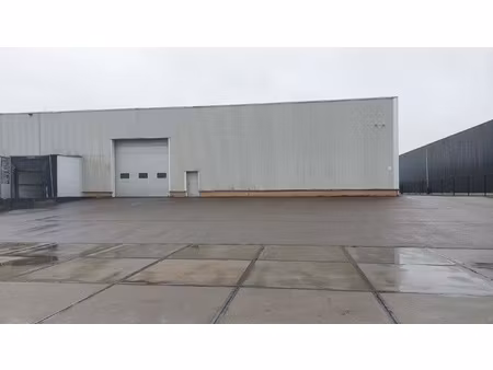 commercieel te huur in geel