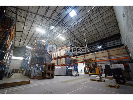 local d'activite a louer