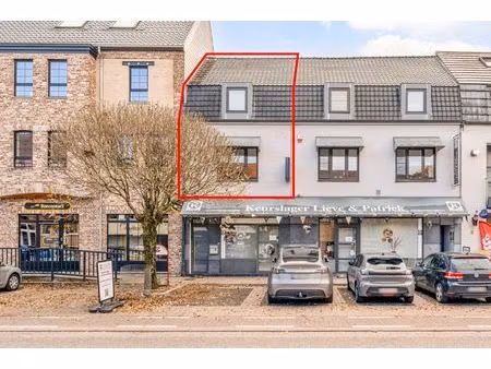 energiezuinig 1-slaapkamerappartement met private toegang en knusse patio  centrum opglabb