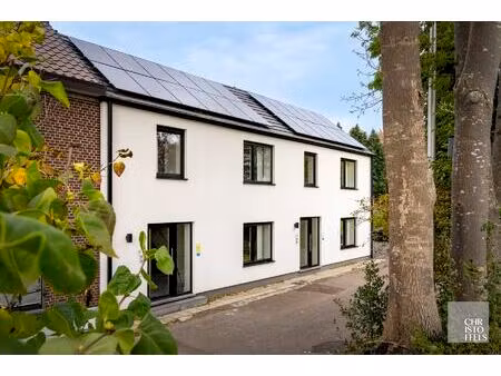 investeringsobject - twee gerenoveerde en energiezuinige vakantiehuizen te kesselt (lanake