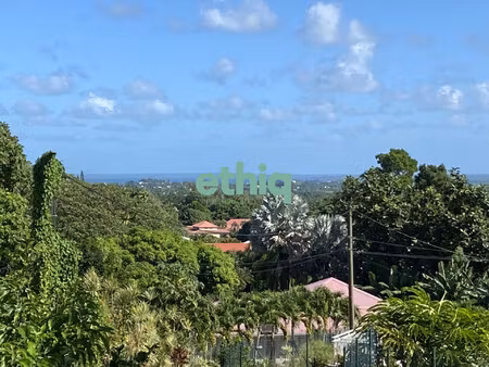 à vendre : superbe terrain avec vue sur mer à marie-galante !