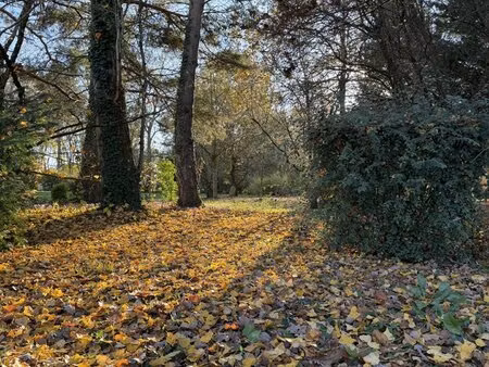 achat terrain 1 200m² chevannes 89240