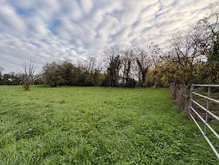 vente terrain  1200.00m²  nalliers