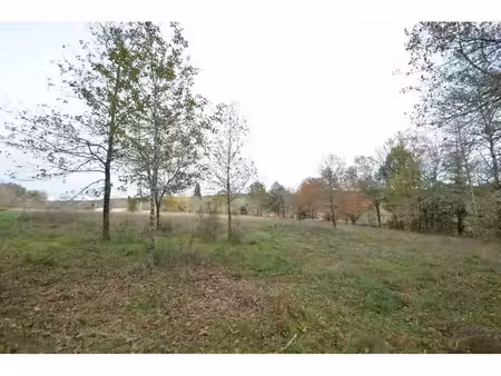 vente terrain saint-jean-d'ataux 24190 - - surface privée