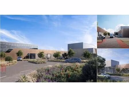 surface industrielle à vendre à diepenbekerweg 45 hasselt (rbu74386)