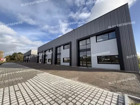 à vendre - locaux d'activités - 581 m² - thouare s/loire