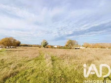vente terrain à réalville (82440) : à vendre / 7590m² réalville