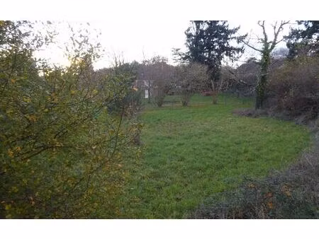 terrain dhuizon m² t- à vendre  40 000 €