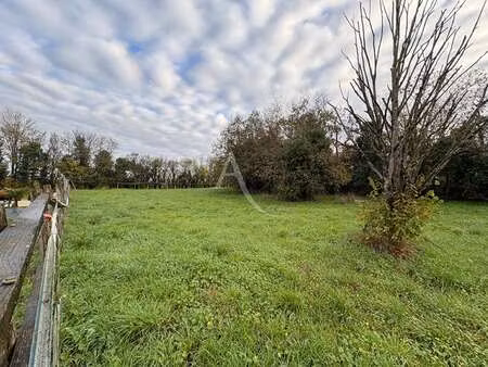 vente terrain à nalliers (85370) : à vendre / 1800m² nalliers