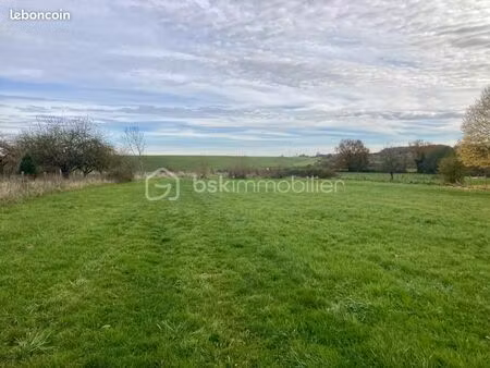 terrain 10 137 m² giffaumont champaubert
