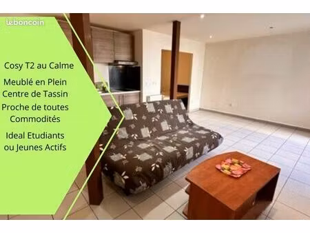 ☎a saisir cosy t2 ⛱ paisible tassin centre 50m horloge