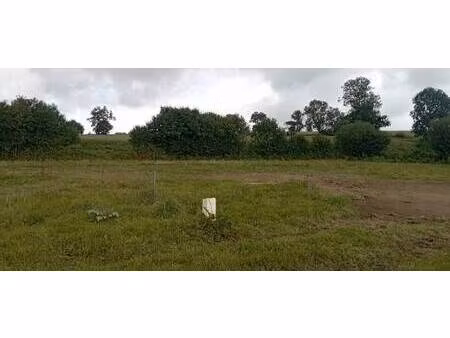 terrain constructible à vendre