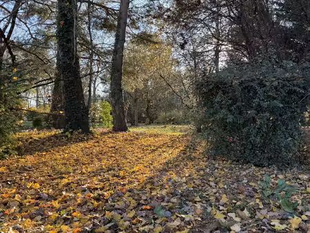 10 min auxerre terrain a batir - 1200 m²