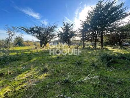 vente terrain à barbâtre (85630) : à vendre / 434m² barbâtre