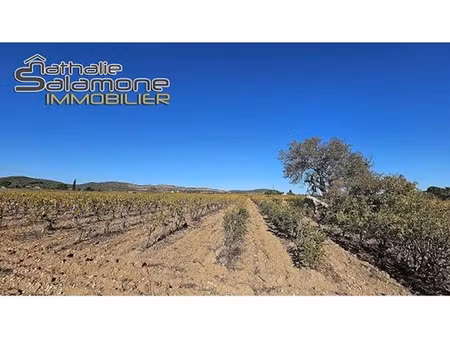 vente terrain 5001 m² à frontignan (34110)  19 000 €