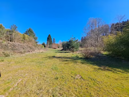 vente terrain 1200 m² les forges (88390)