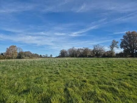 vandenberghe marie capifrance