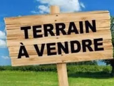 vente terrain 4118 m² à chaumes-en-brie (77390)  66 000 €