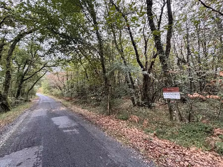 vente terrain 4625 m² à montignac (24290)  74 200 €