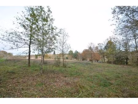 terrain constructible viabilisé à vendre