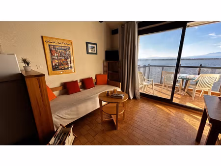 appartement 2 pieces + mezzanine