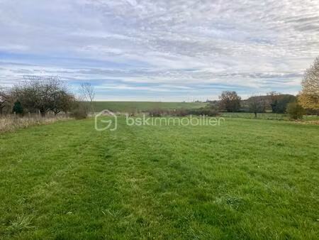 terrain de 10 137 m² à giffaumont-champaubert
