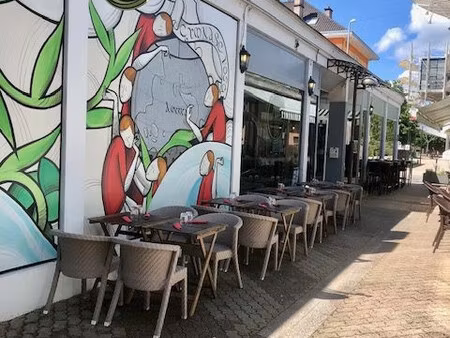 plein centre ville murs commerciaux de 650m²