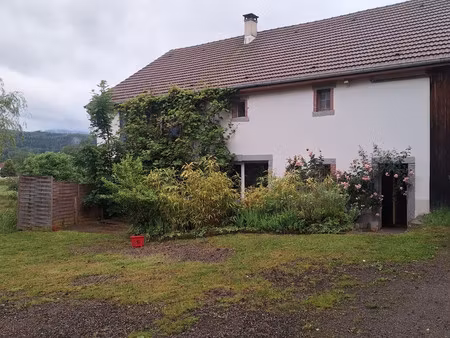 ferme avec 6 boxs pour chevaux sur 2.8 hectares