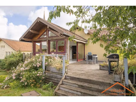 [vosges] ensemble immobilier de caractère : habitation  commerc