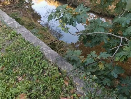 terrain constructible