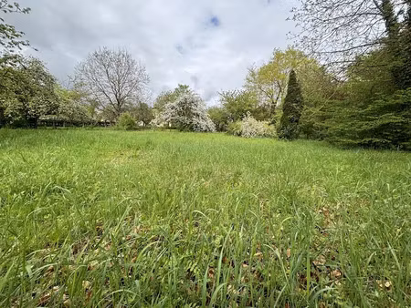 vente terrain 2771 m² à sarrebourg (57400)  143 000 €