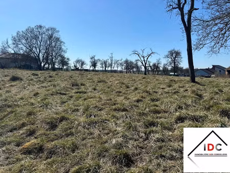 vente terrain à batir 69 m² à sarrebourg (57400)  338 600 €