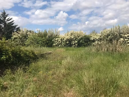 vente terrain 500 m² à puget-ville (83390)  177 000 €