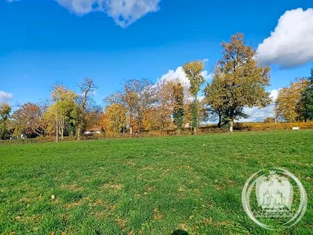 terrain constructible viabilisable de 1990 m²