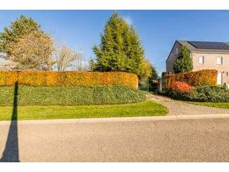 belle parcelle de 815m² à berloz