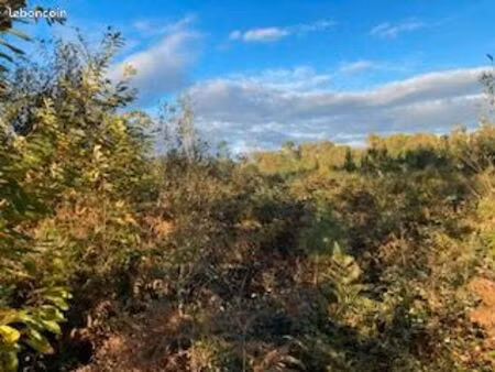 terrain en zone naturelle tilh